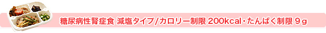 糖尿病性腎症食 減塩タイプ/カロリー・たんぱく制限9ｇ