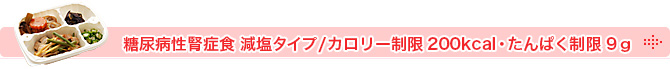 糖尿病性腎症食 減塩タイプ/カロリー・たんぱく制限9ｇ