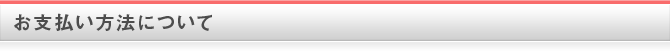 お支払い方法について