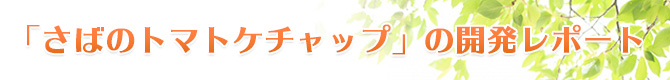 さばのトマトケチャップ開発レポート